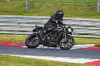 Evening Low_Mid Group Black Bikes